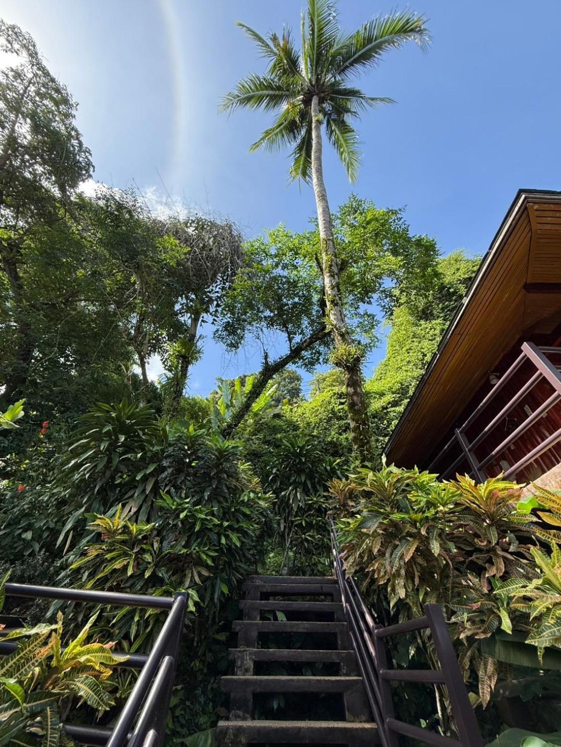 Baan Krating Khao Lak Resort - Sha Plus Bagian luar foto