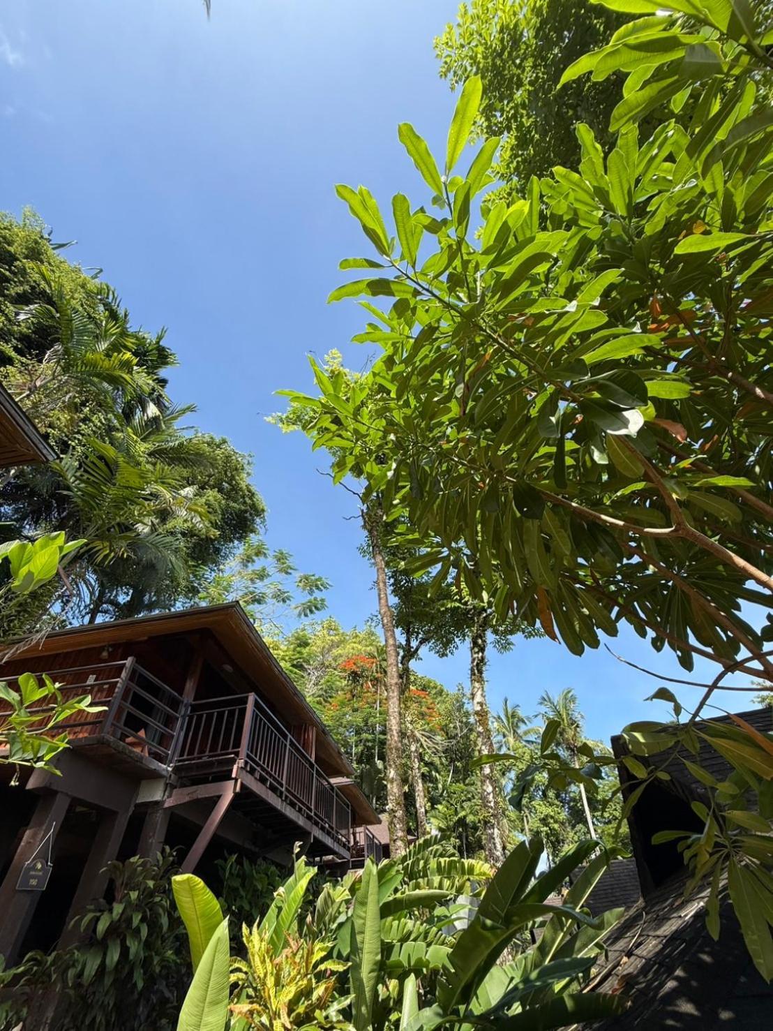 Baan Krating Khao Lak Resort - Sha Plus Bagian luar foto